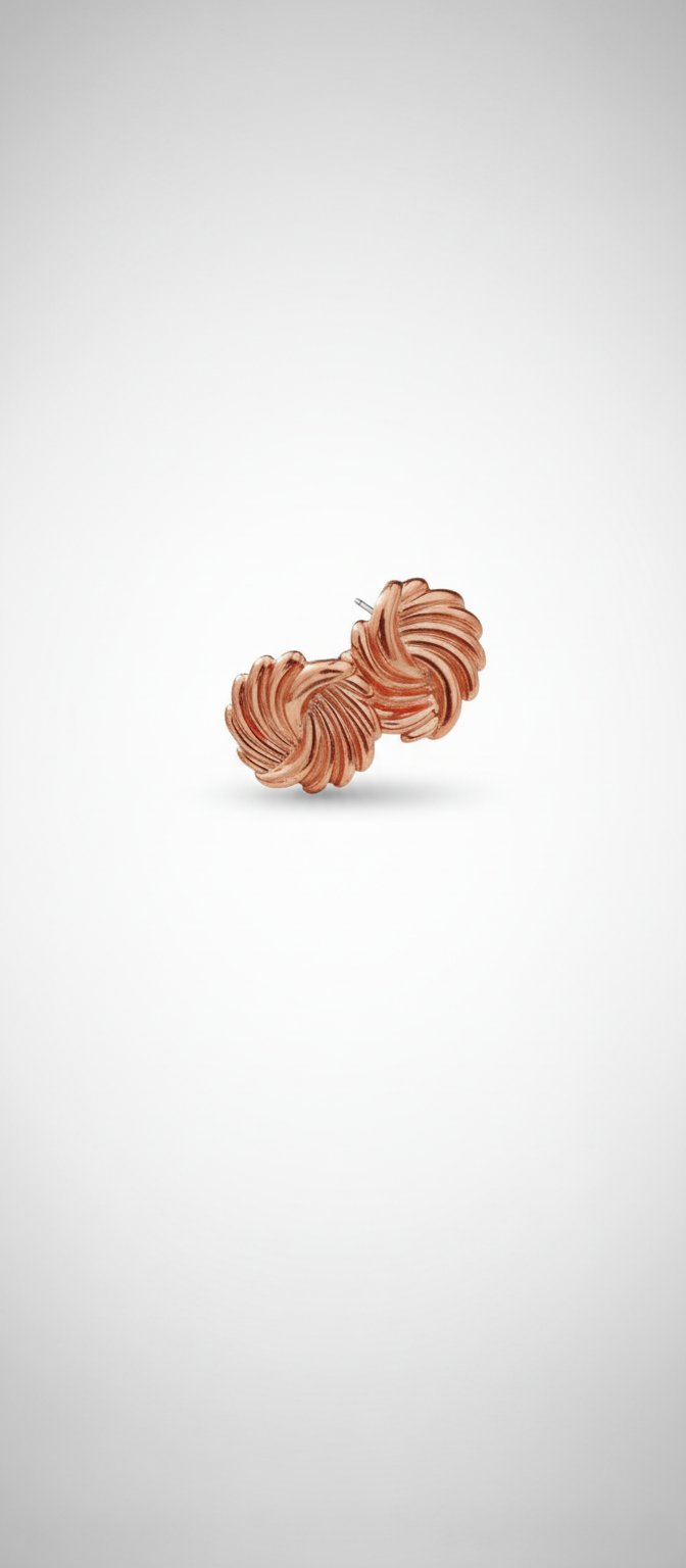 Boucle d'oreille
