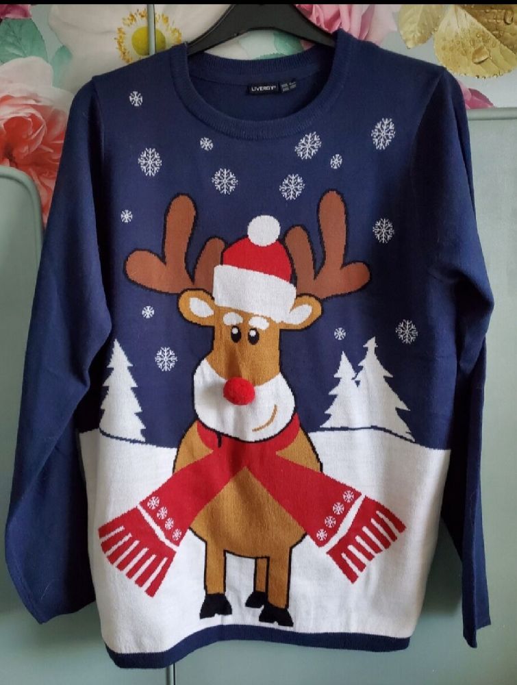 Pull de noel