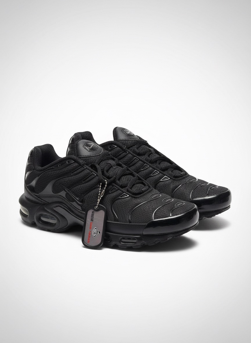 Chaussures, Air, Max TN, état neuf