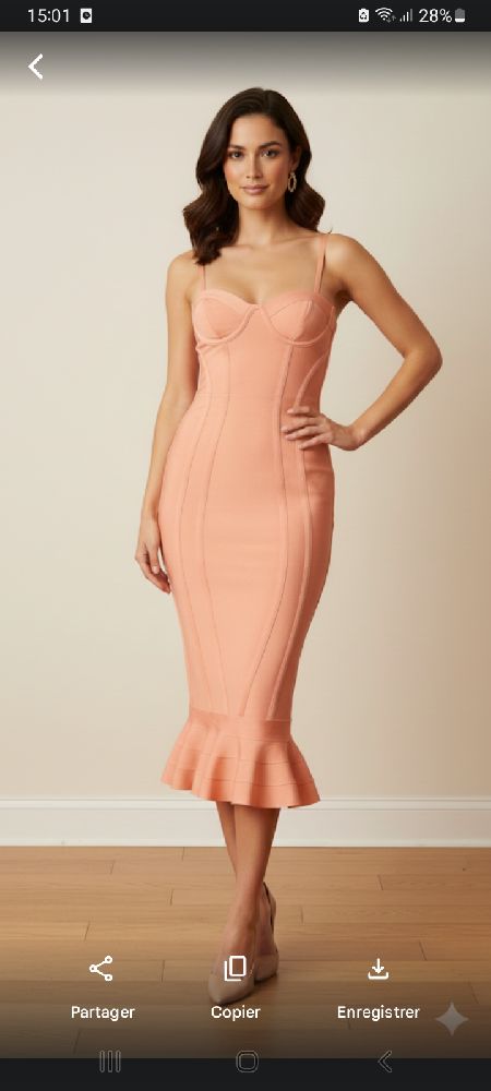Robe chic