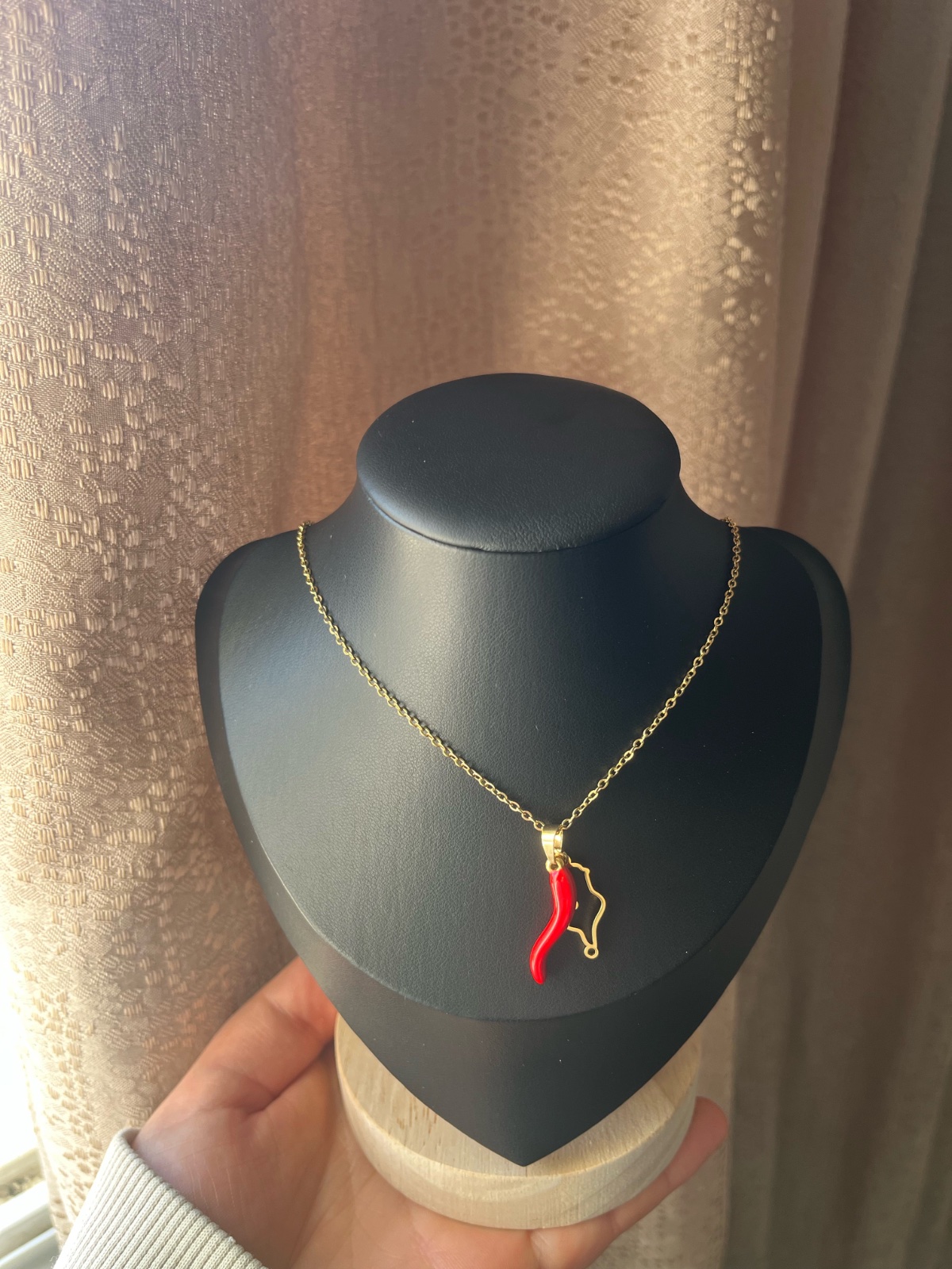 Collier en acier inoxydable 🇹🇳🌶️