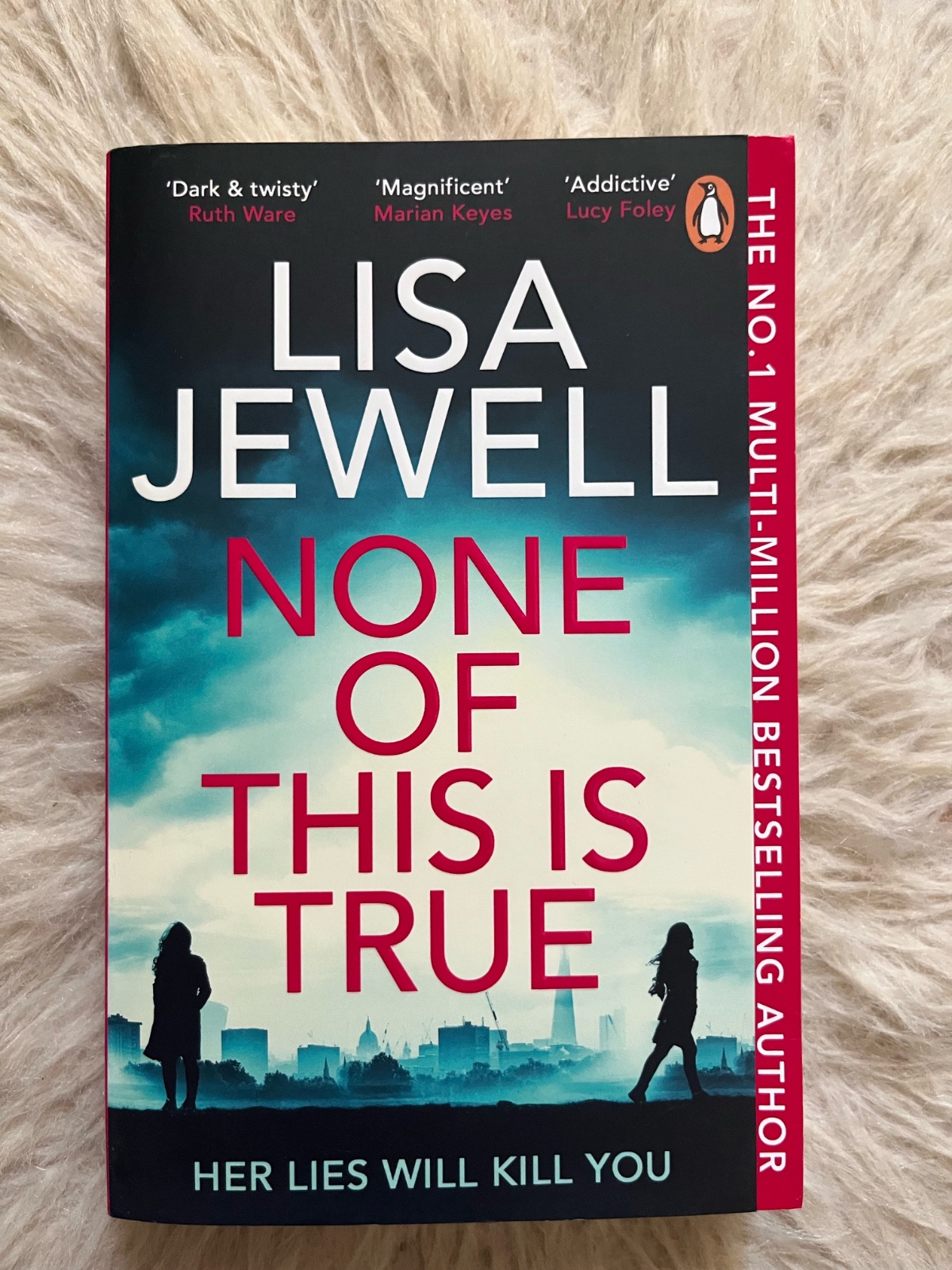 Book : None of this is true