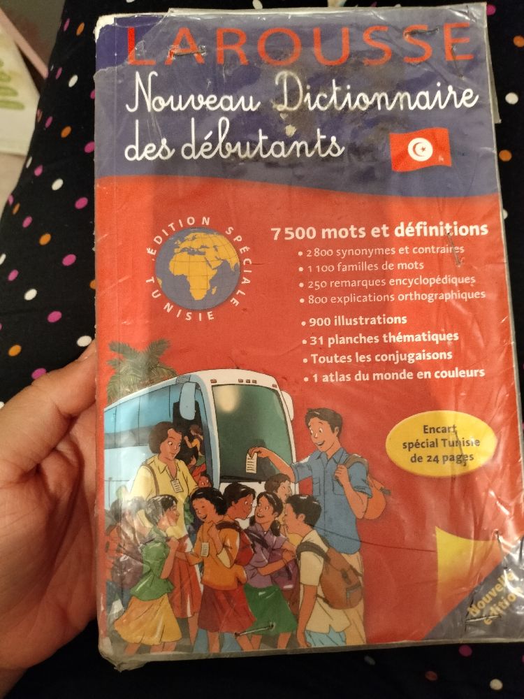 Dictionnaire Larousse 