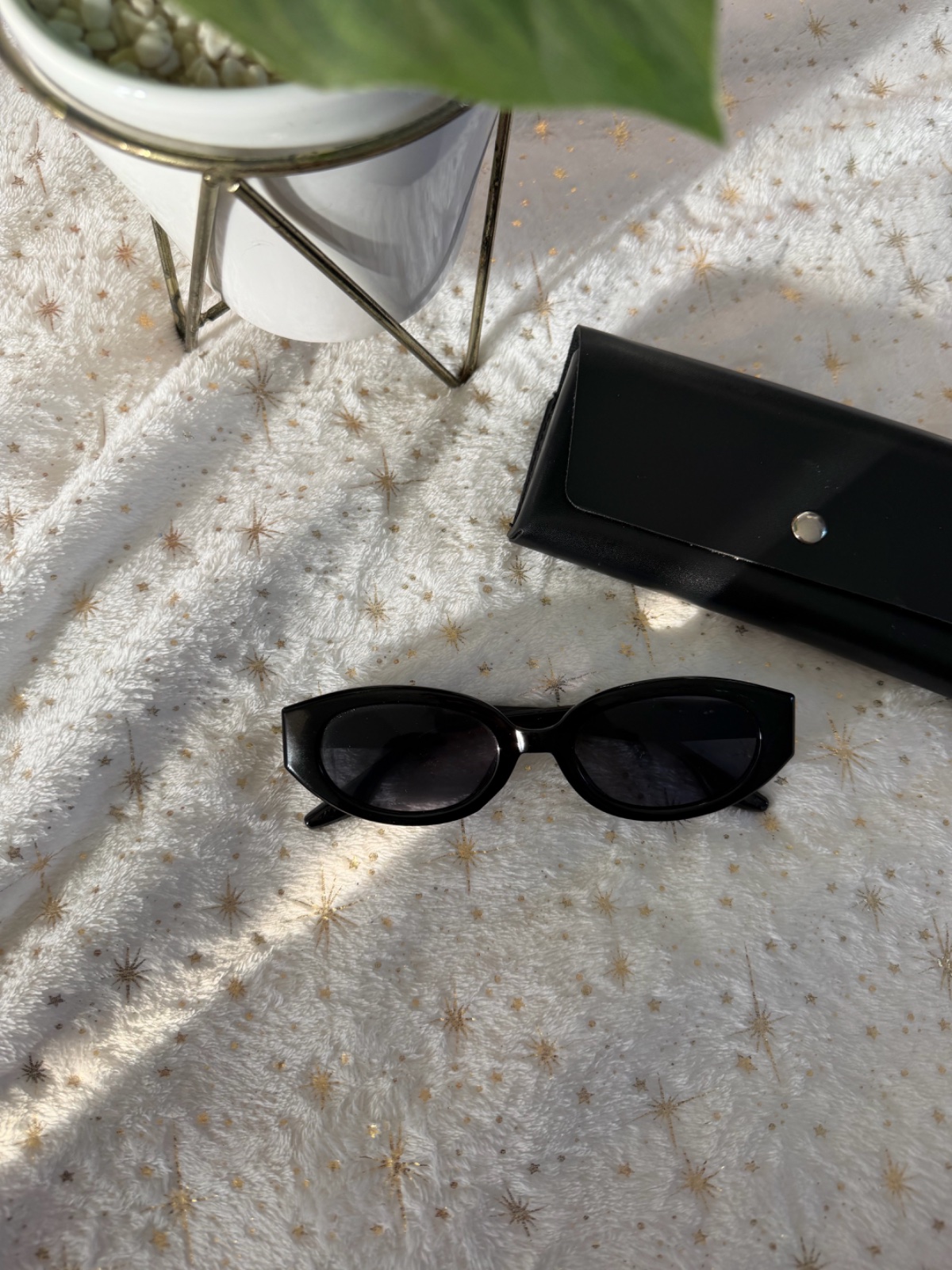 Lunettes 