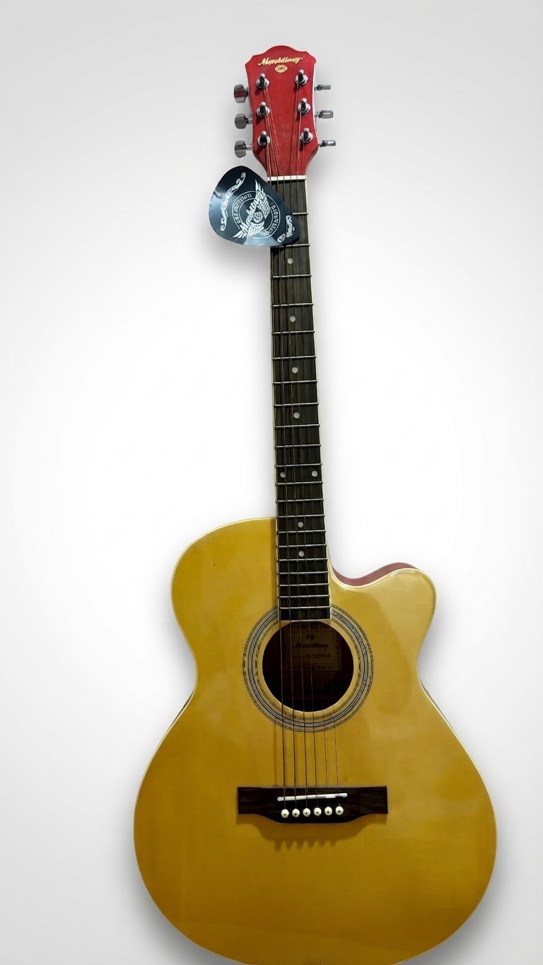 Guitare Acoustique