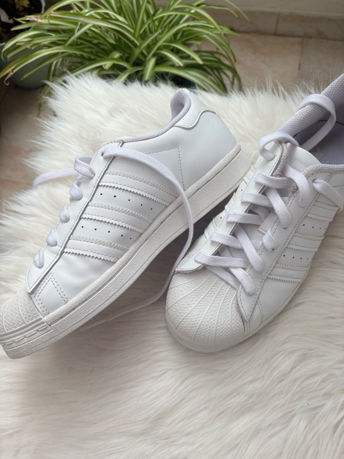 Bascket adidas Original