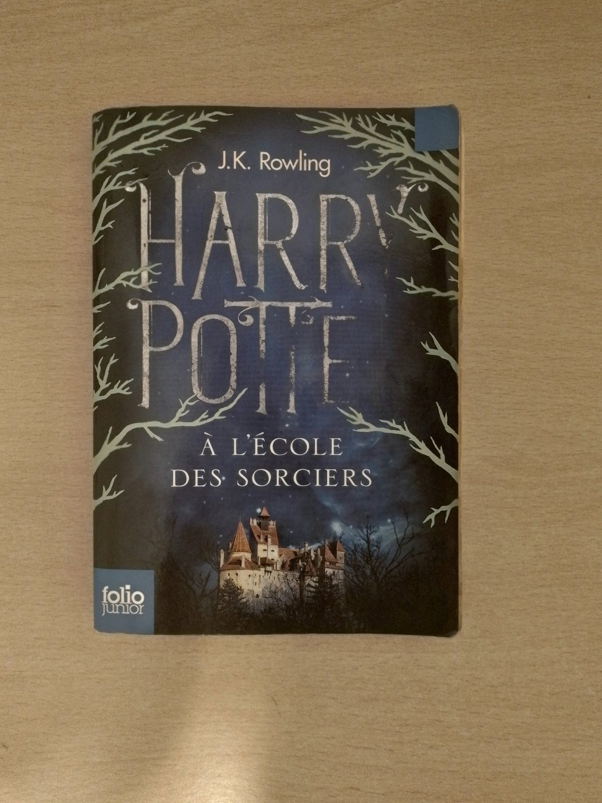 Livre "Harry Potter"