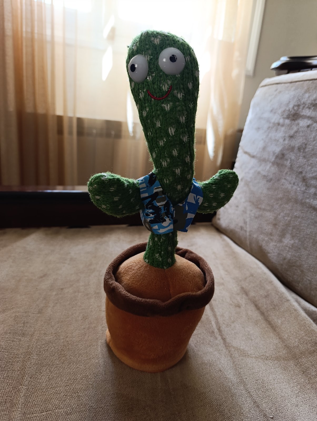The Dancing Cactus 