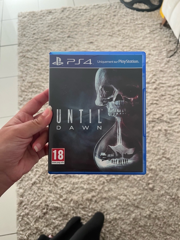 Jeu ps4 until dawn