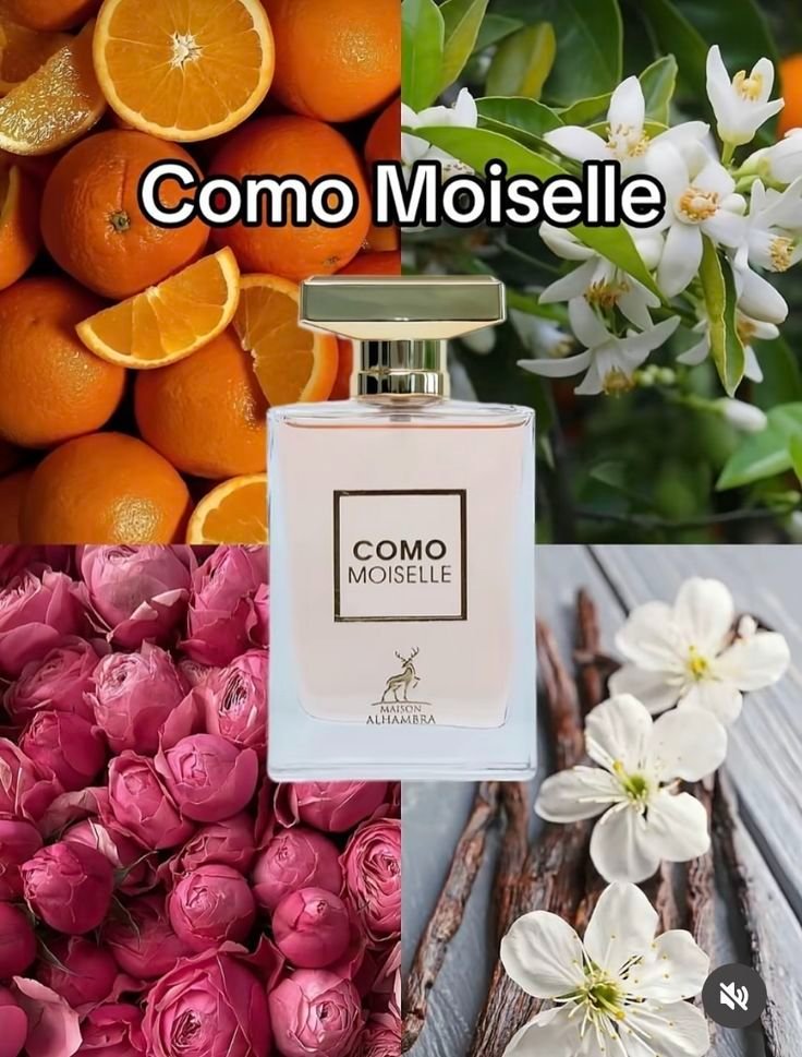 Parfum femme