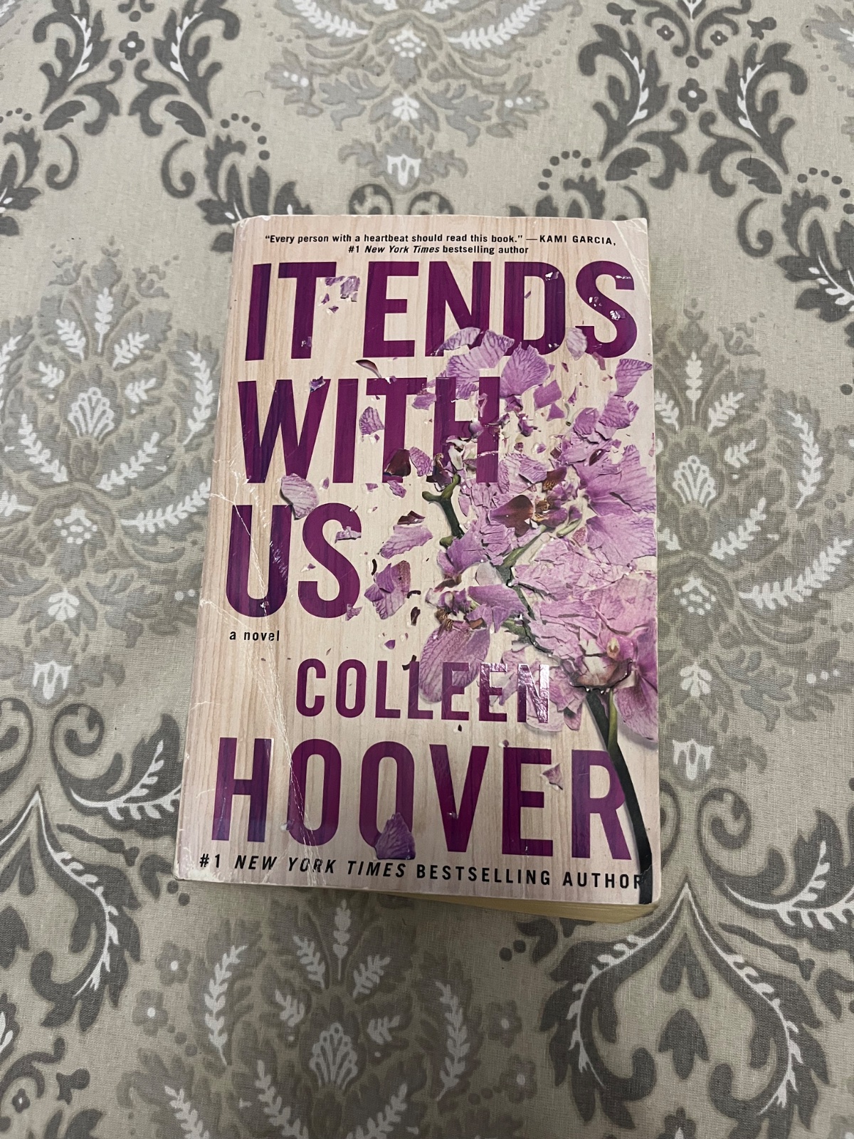 Livre It Ends With Us 