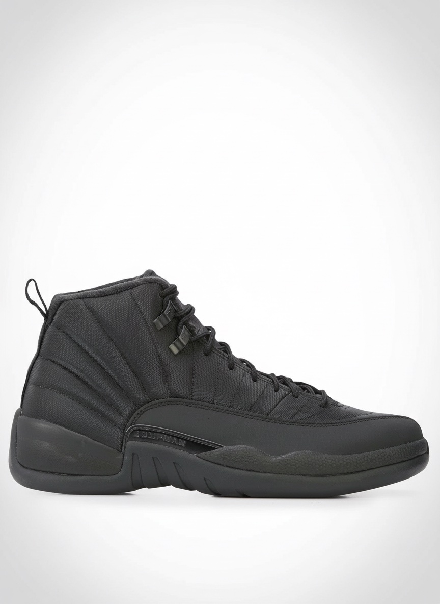 Nike Air Jordan 12 Triple Black 
