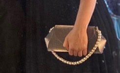 Pochette soirée 