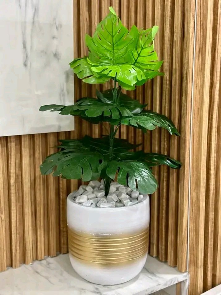 Pla'te artificielle 