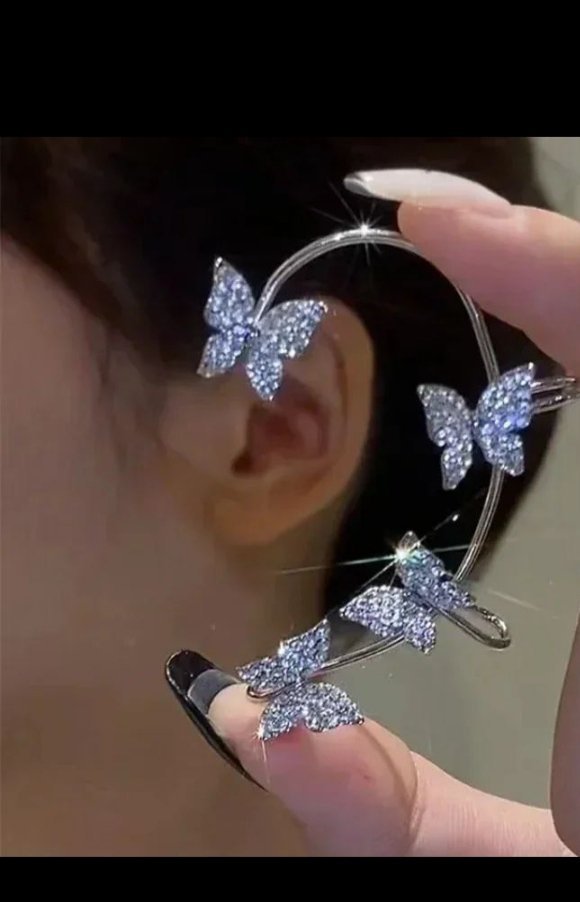 Boucles d'oreilles argent 