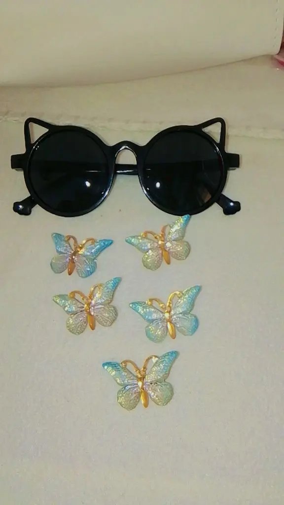 Lunette + 5 barrette papillon 