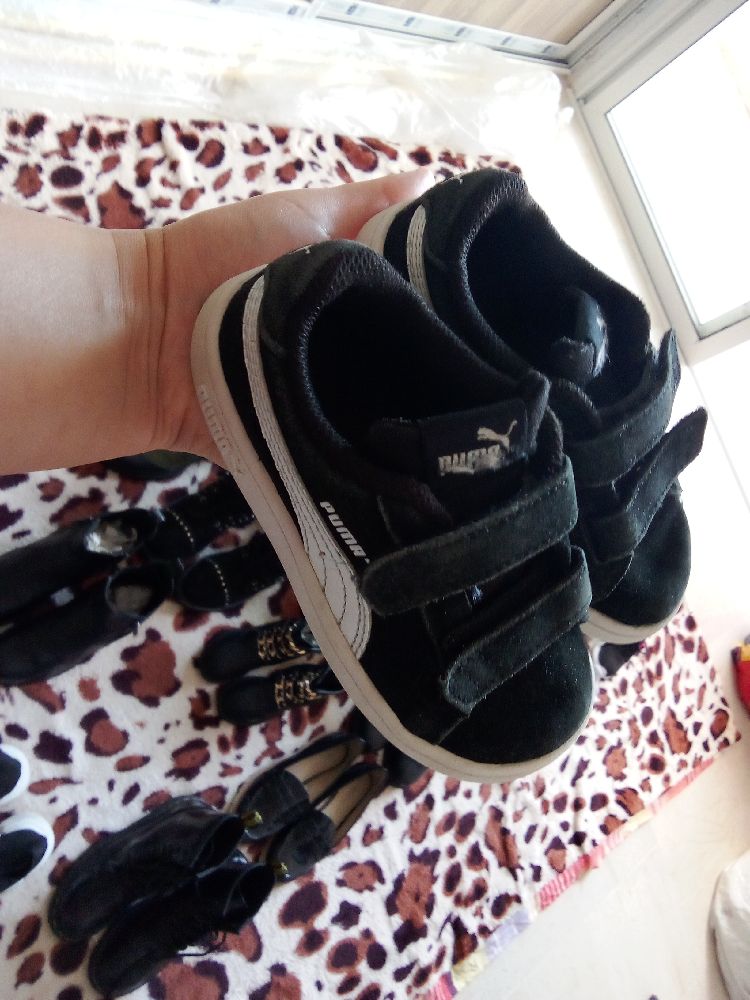 Basket puma