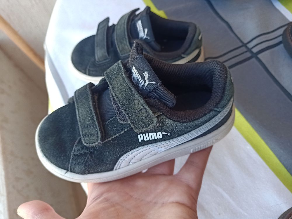 Basket puma
