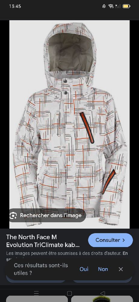 Veste the north face