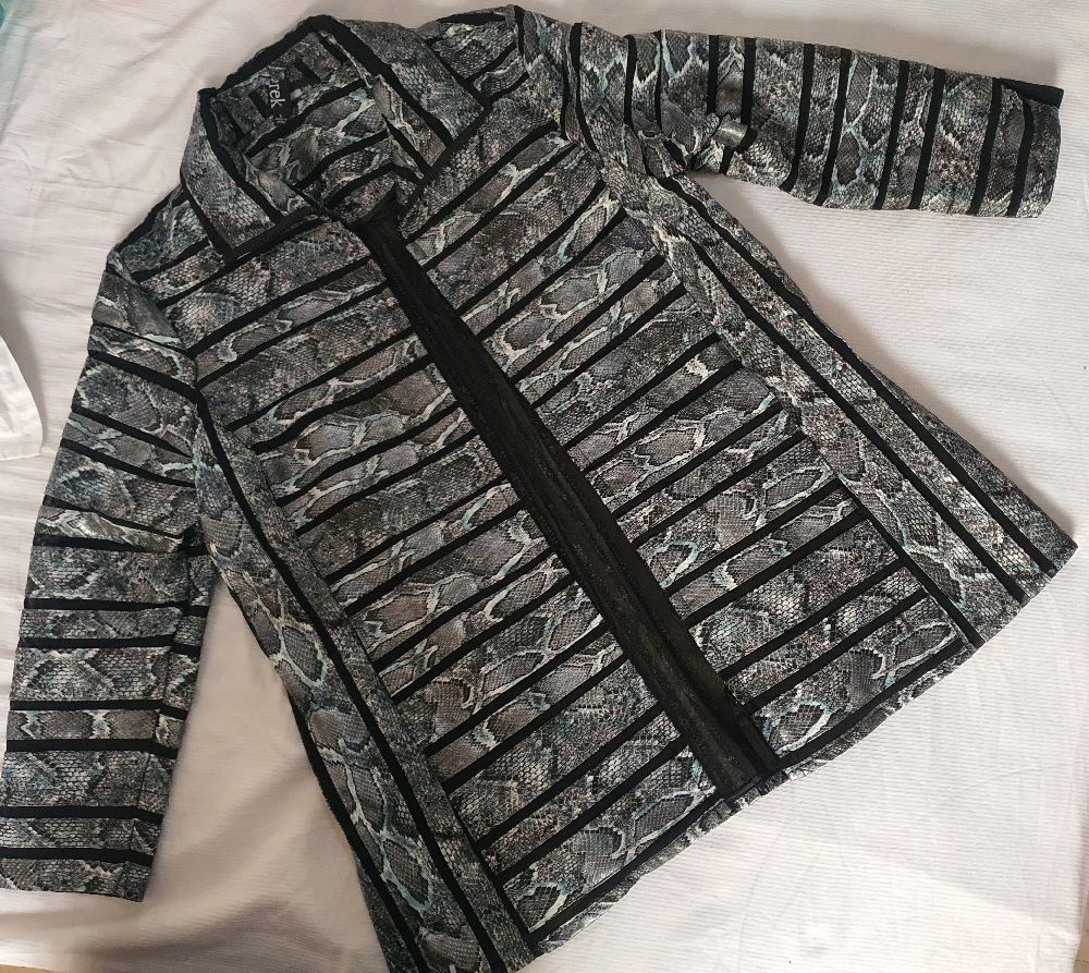 Blazer serpent 