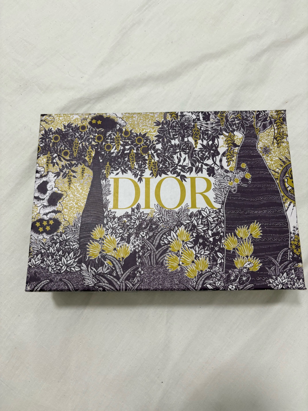 Claquette dior