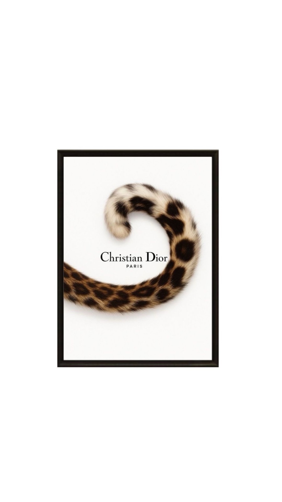 Tableau christian Dior 