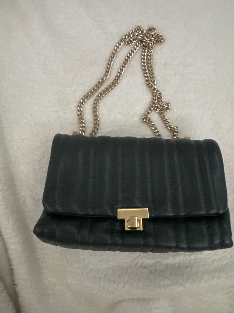Petite sac zara 