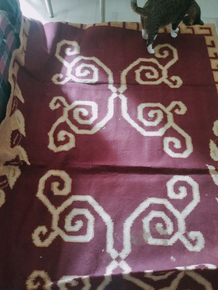 Tapis