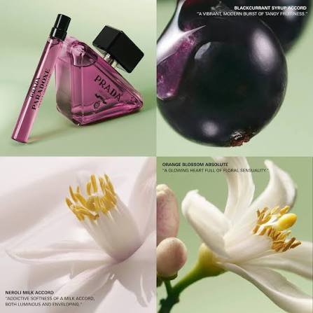 Prada paradoxe sweet chemistry la dernière nouveauté de prada