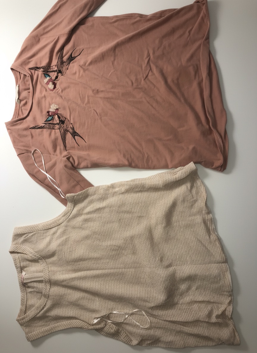 2 pulls pour les filles de 12 -13 ans