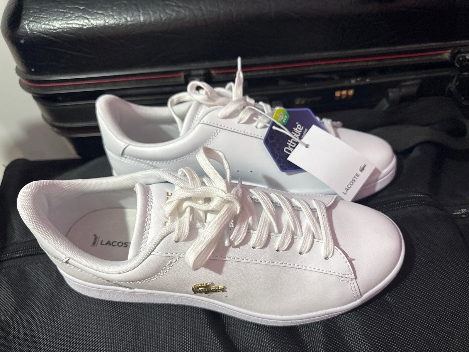 Baskets lacoste neuf 