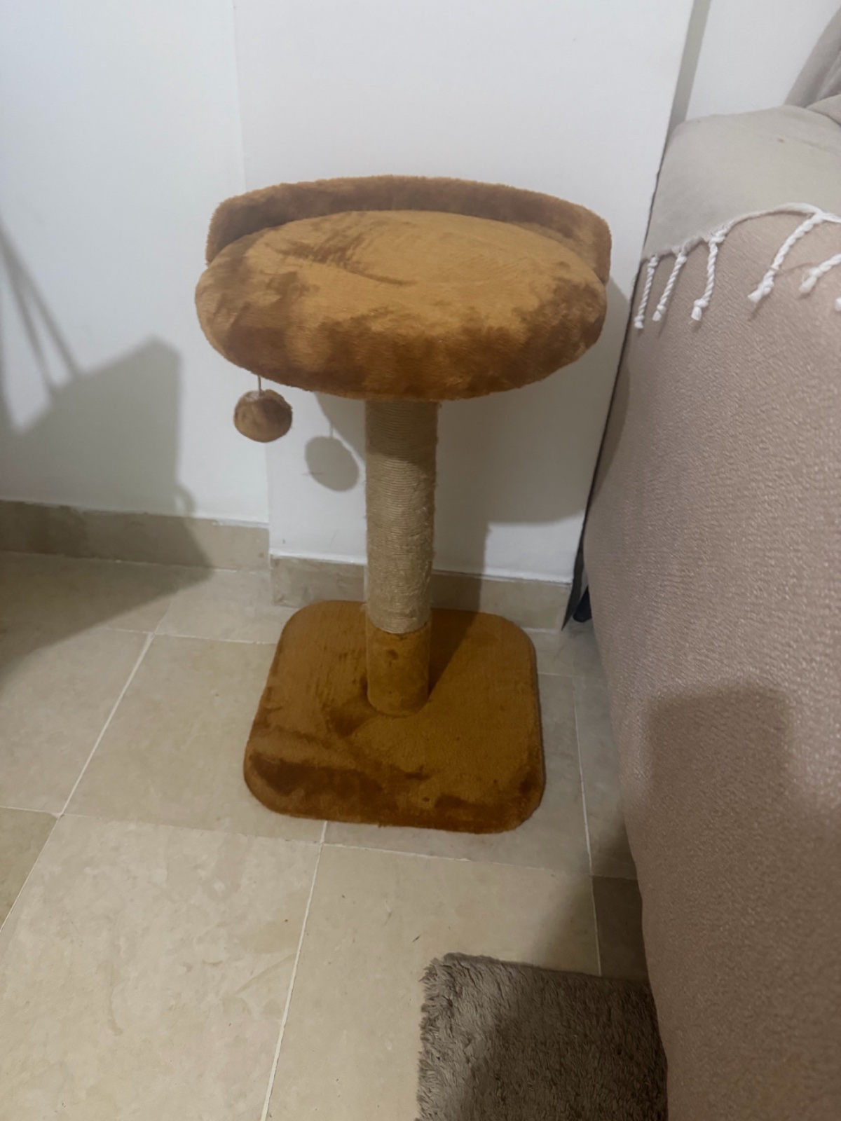 Chat