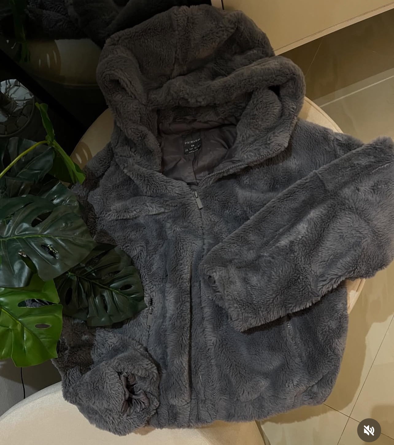 Veste 