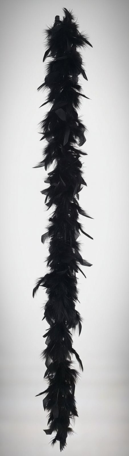 Boa en plumes noir / Accessoire de fête glamour et rétro