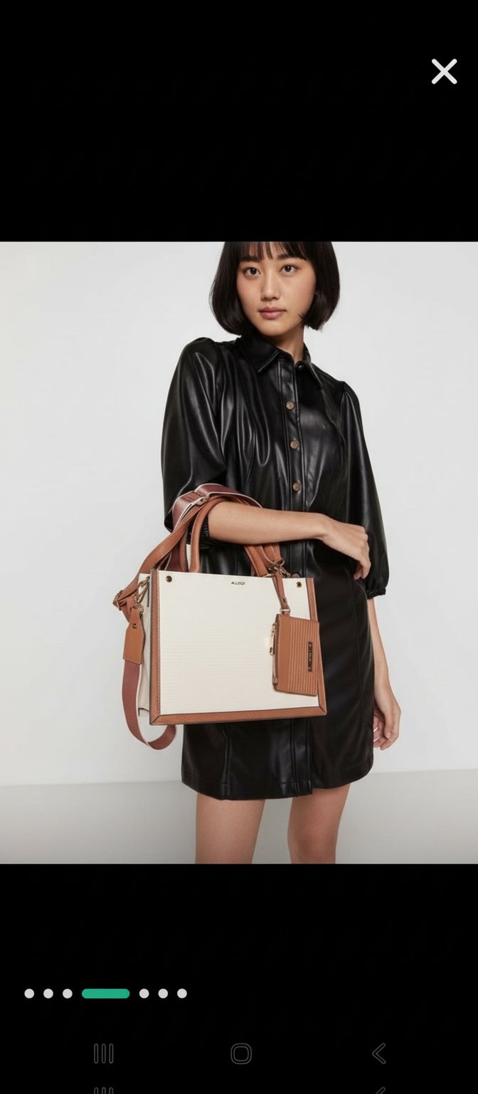 Aldo Hand Bag