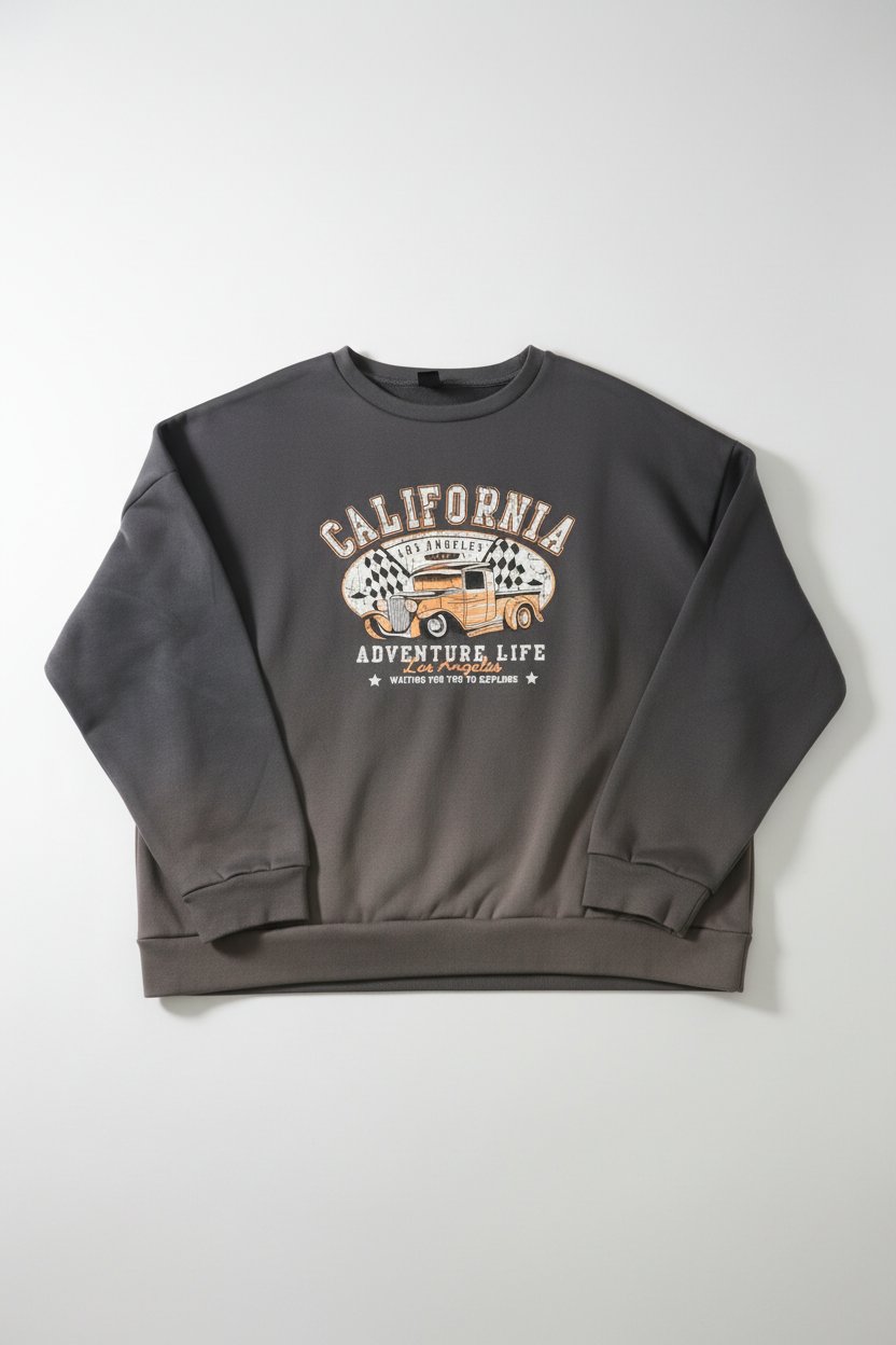 Sweatshirt / pull