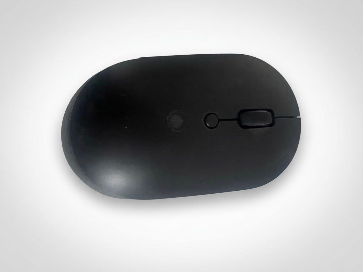 Souris