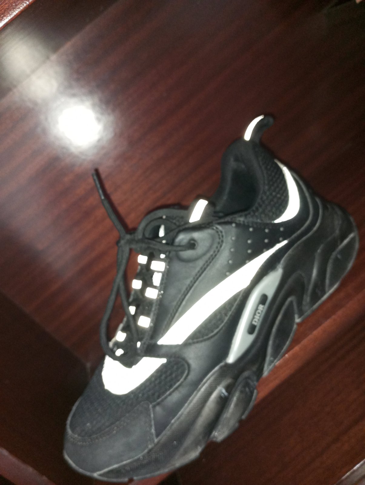 Dior b22
