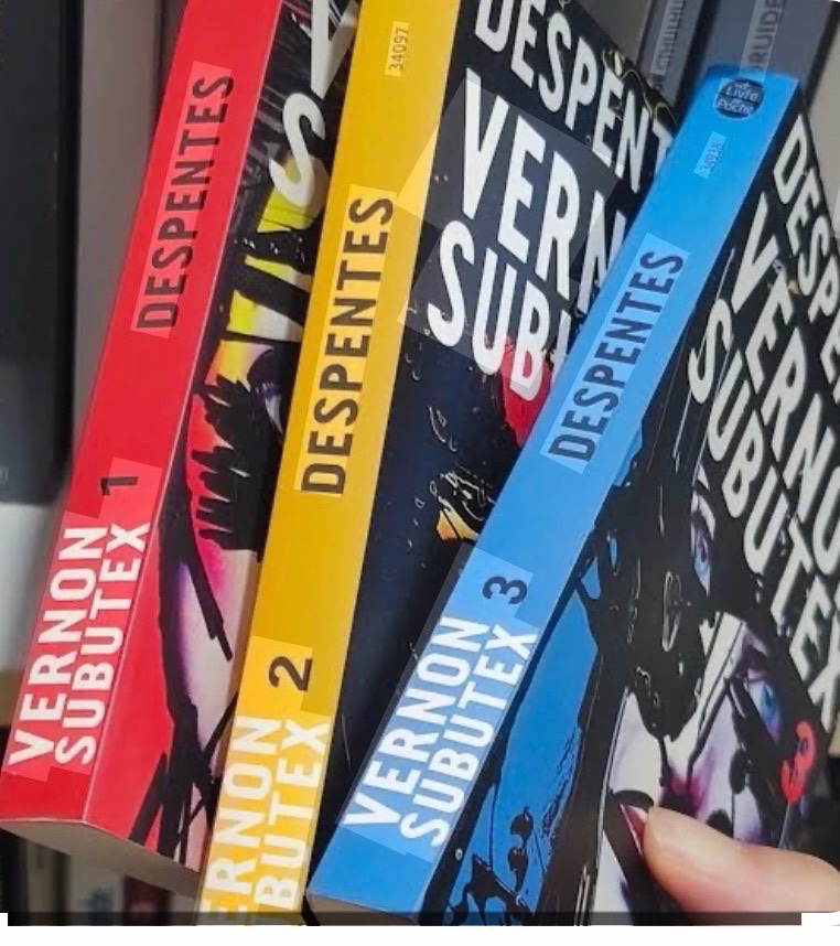 Saga Vernon Subutex 1-2-3
