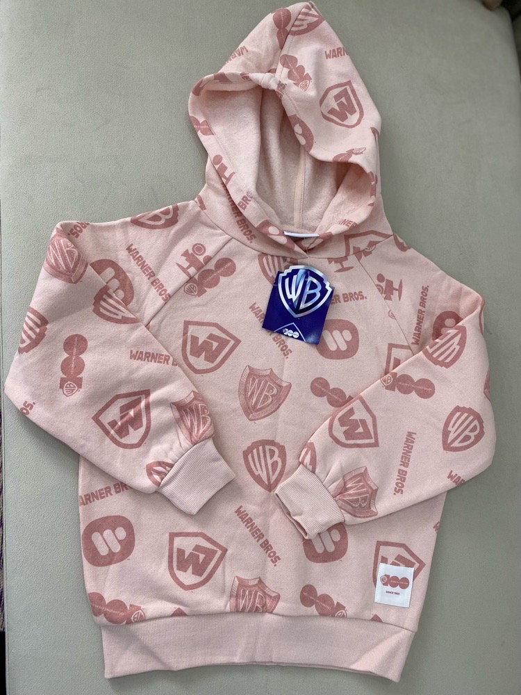 Sweat-Shirt à Capuche Warner Bros