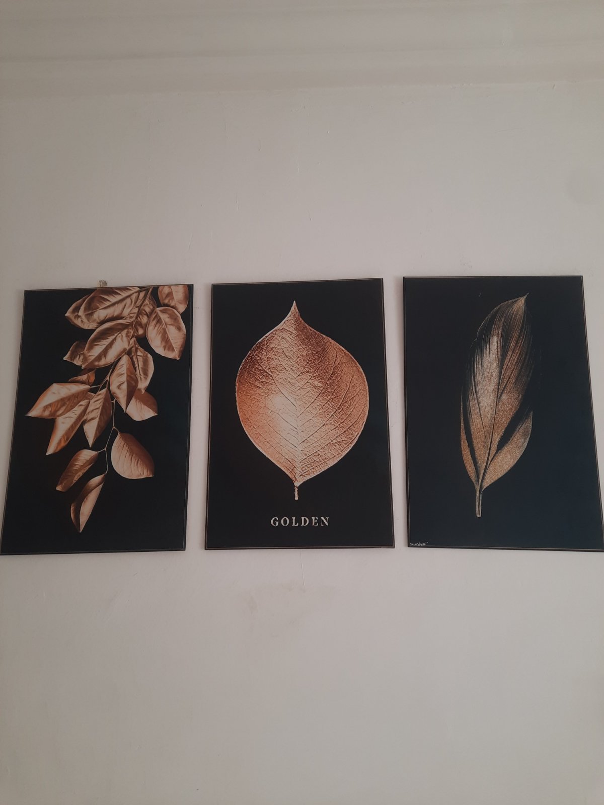 Promo profitez 3 tableaux  MDF 60/30 tableau 