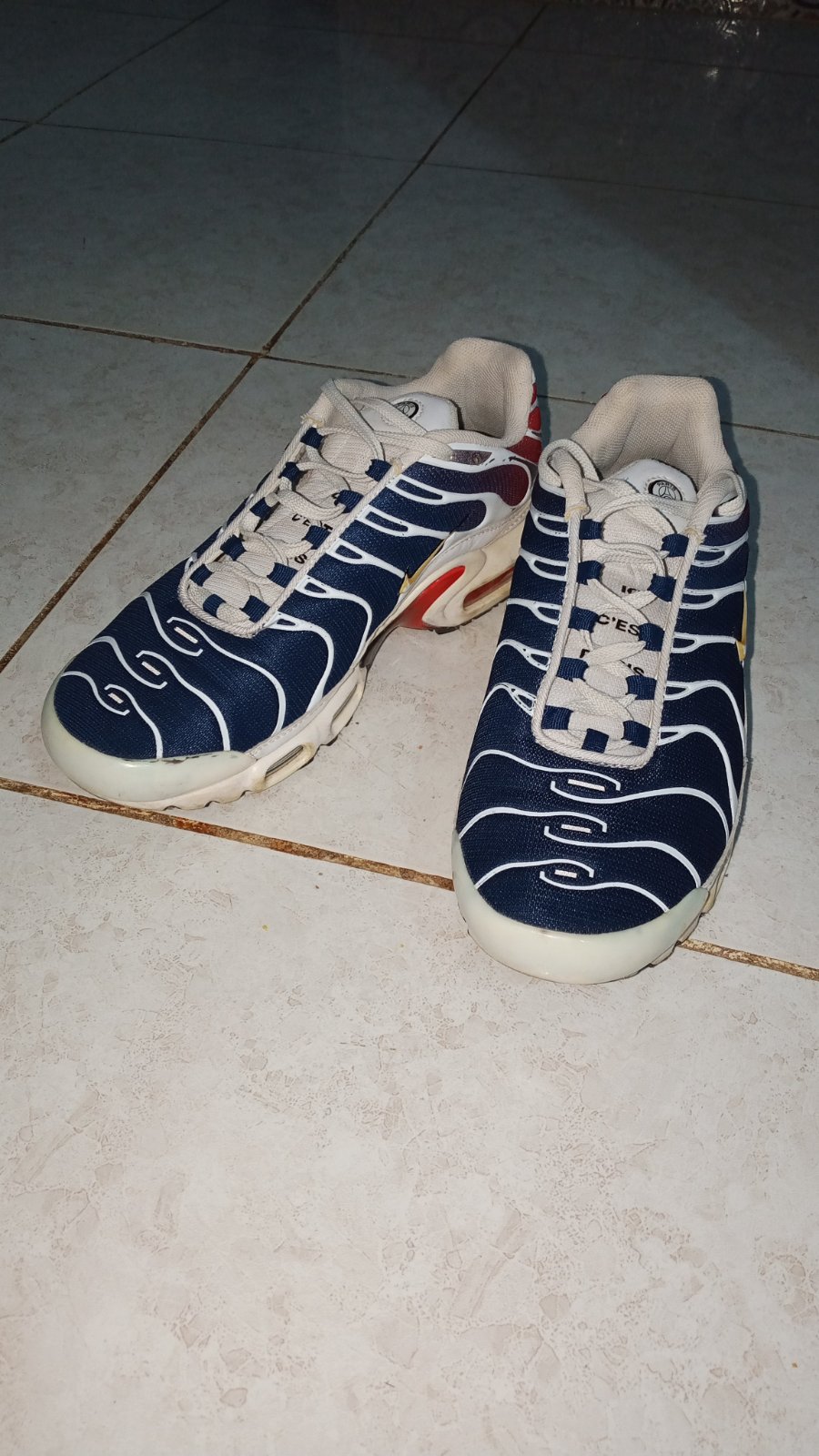 Nike TN Air Max Plus "PSG" 100% originale et authentique. Édition spéciale Paris Saint-Germain en très bon état, portée avec soin
