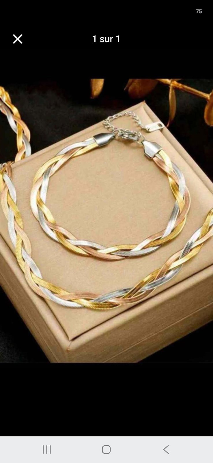 Collier et bracelet en acier inoxydable 