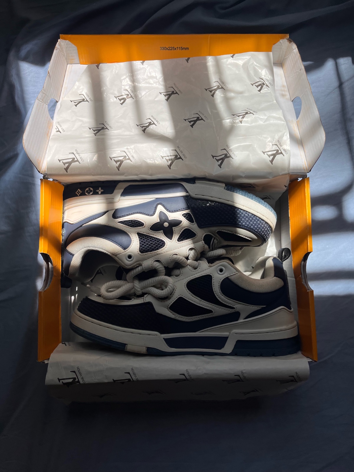 Louis Vuitton skate shoes 