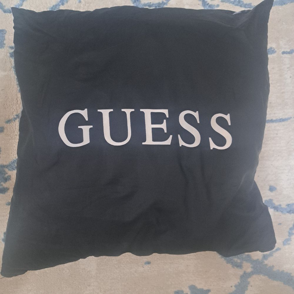 2 coussins décoratifs guess 