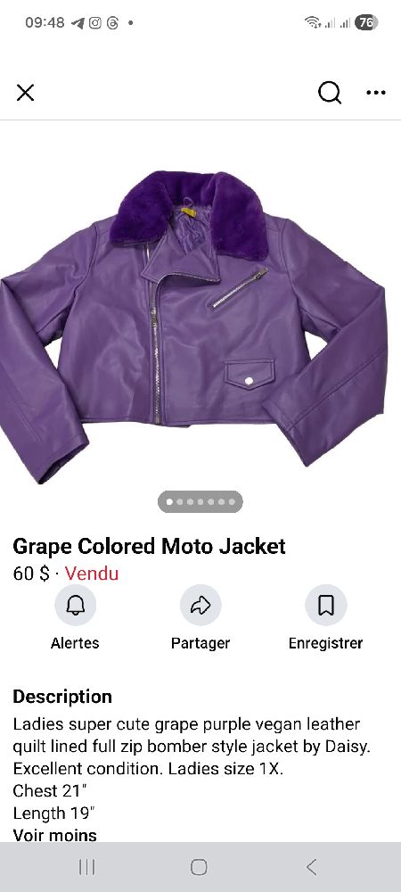 Daisy neuf couleurs mauve lilas