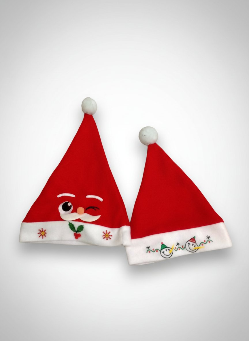 Lot de 2 bonnets père Noël ☃️⛄