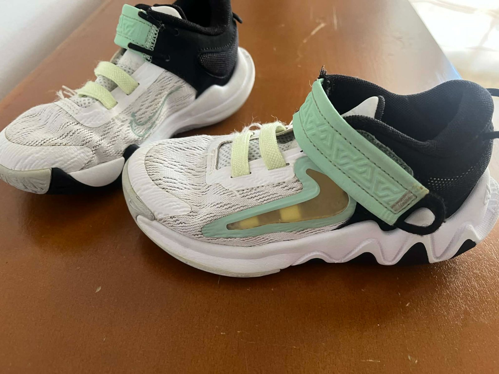 Basket Nike Giannis immortality pointure 28.5