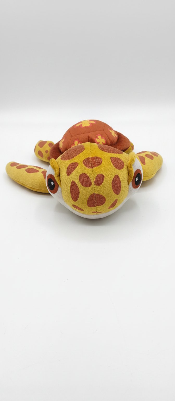 Tortue