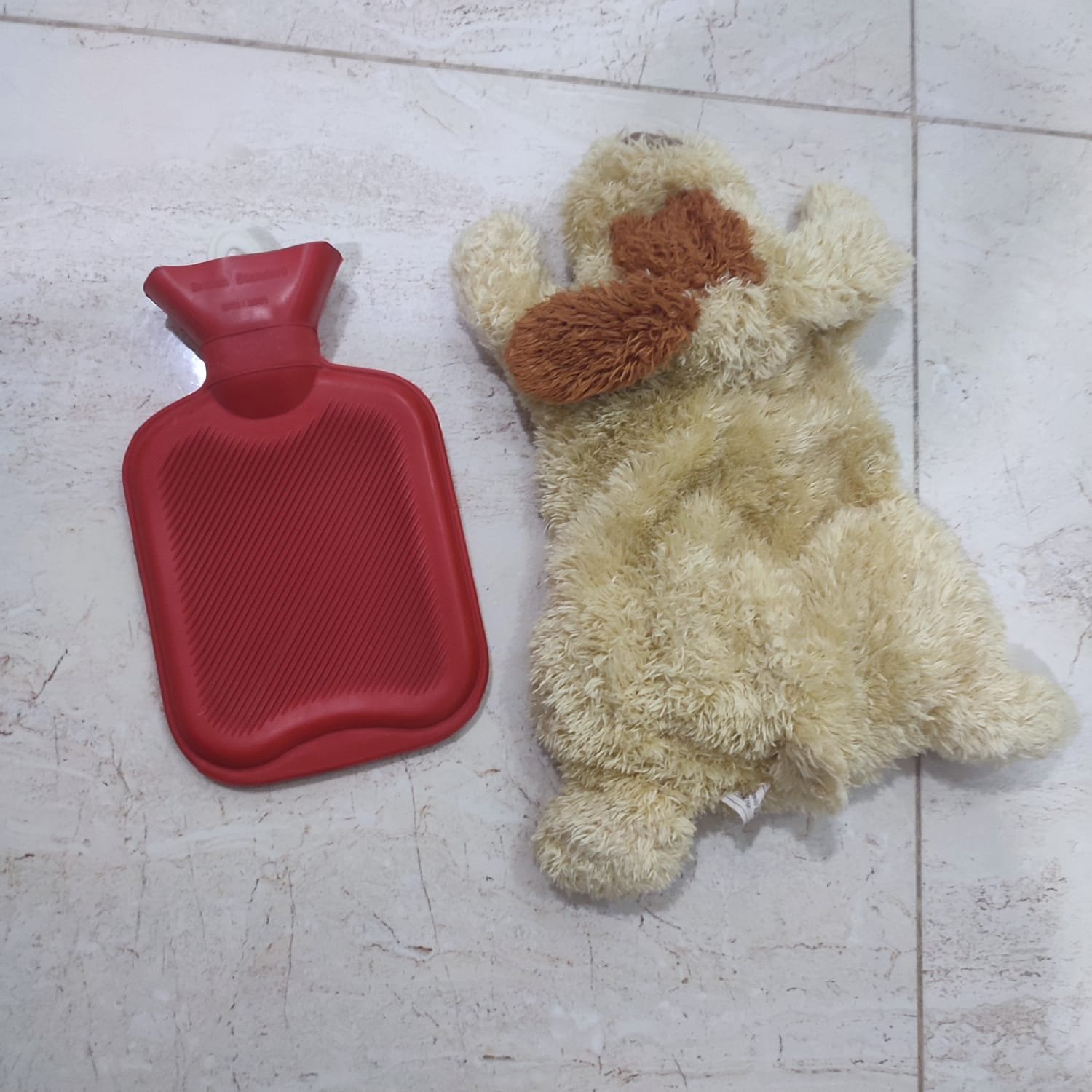 Bouillotte chien